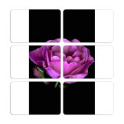 Магнитные фотопазлы 80 на 50 набор 6 штук 