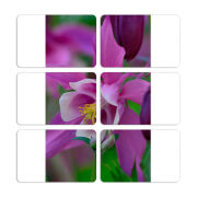 Магнитные фотопазлы 80 на 50 набор 6 штук 