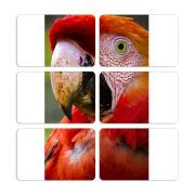 Магнитные фотопазлы 80 на 50 набор 6 штук 