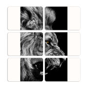 Магнитные фотопазлы 80 на 50 набор 6 штук 