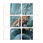 Магнитные фотопазлы 80 на 50 набор 6 штук 