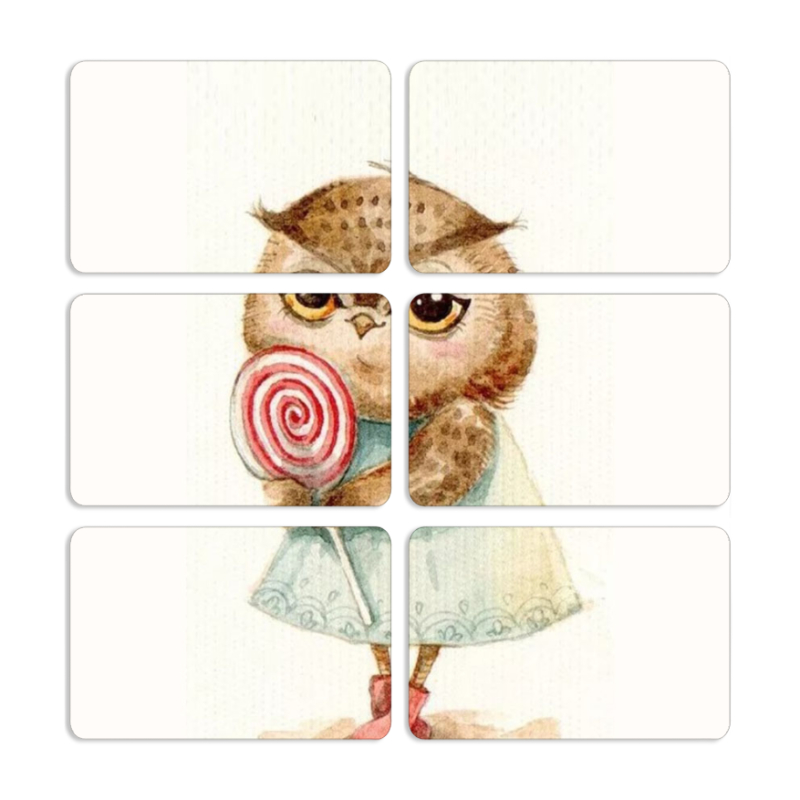 Магнитные фотопазлы 80 на 50 набор 6 штук Совушка