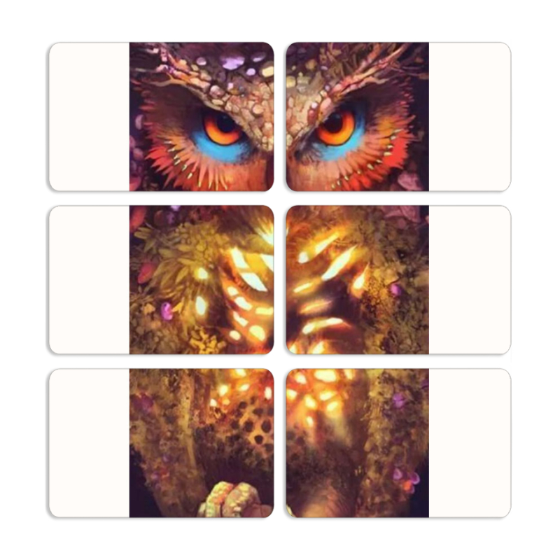 Магнитные фотопазлы 80 на 50 набор 6 штук 