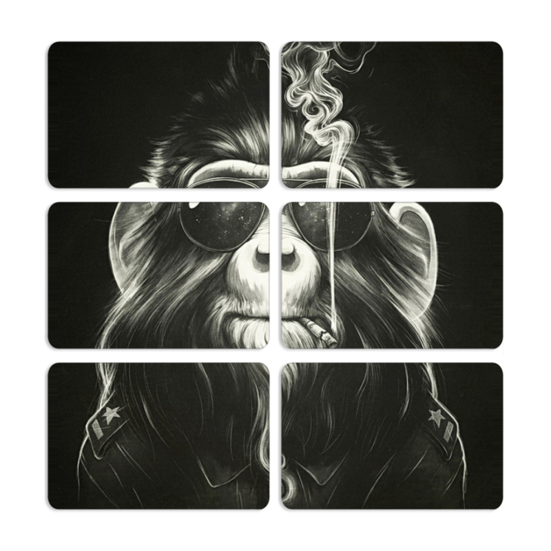 Магнитные фотопазлы 80 на 50 набор 6 штук Smokey Monkey