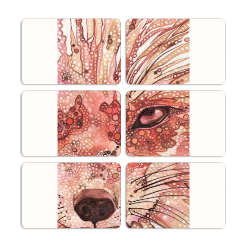 Магнитные фотопазлы 80 на 50 набор 6 штук 