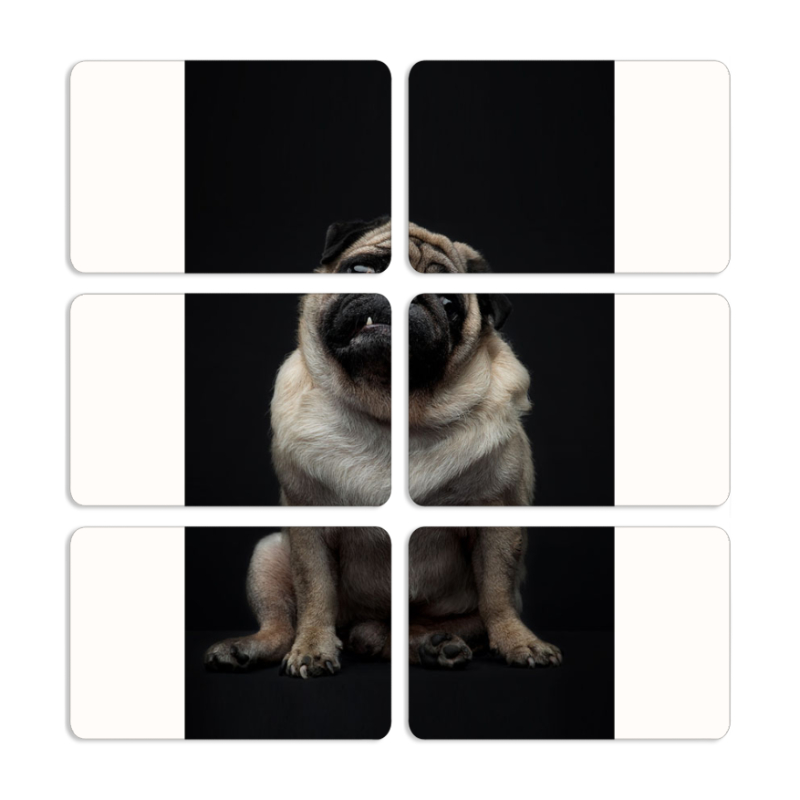 Магнитные фотопазлы 80 на 50 набор 6 штук 