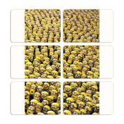 Магнитные фотопазлы 80 на 50 набор 6 штук 