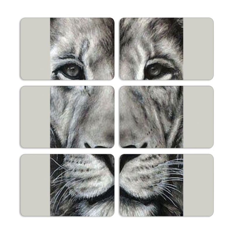 Магнитные фотопазлы 80 на 50 набор 6 штук 