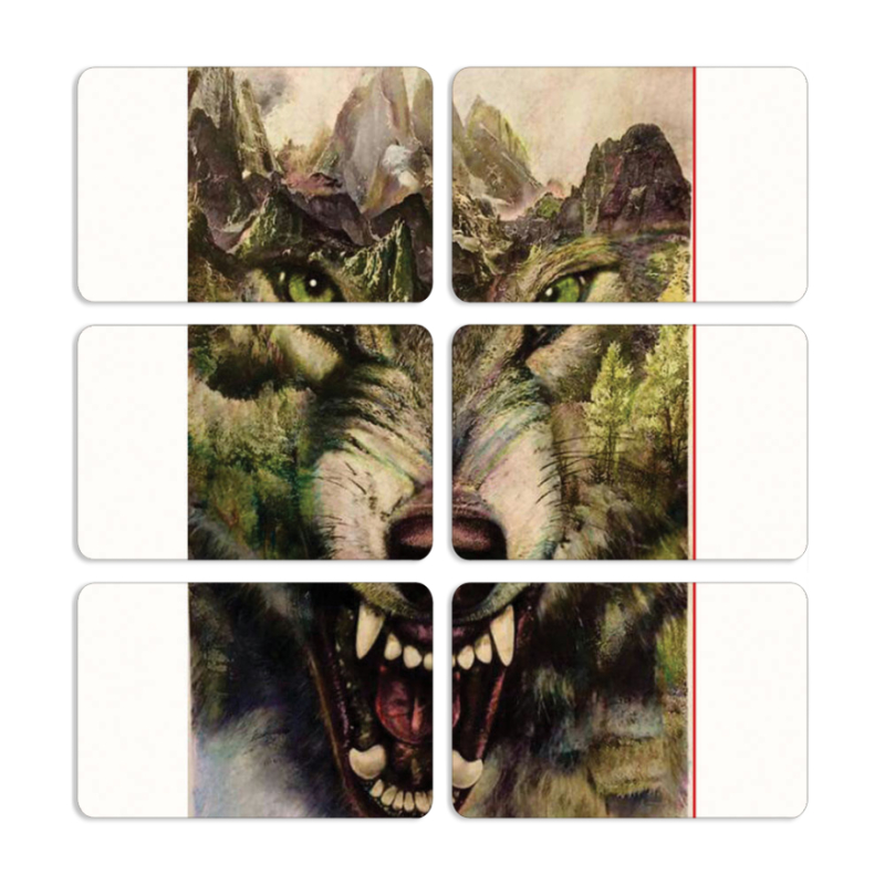 Магнитные фотопазлы 80 на 50 набор 6 штук 