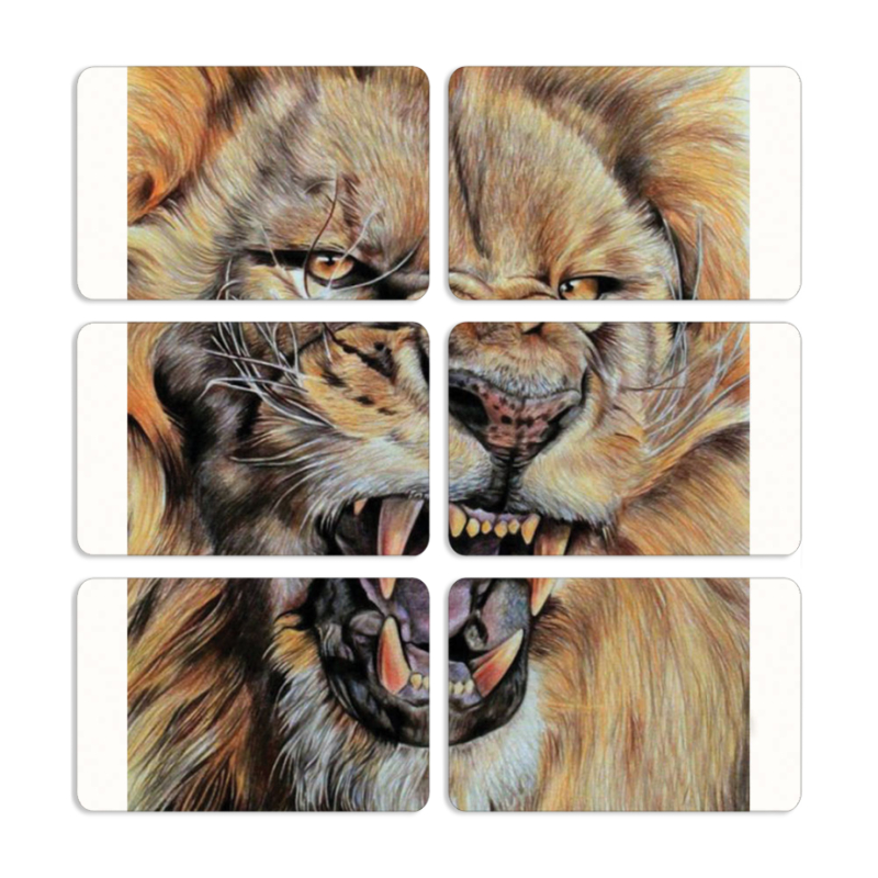 Магнитные фотопазлы 80 на 50 набор 6 штук 