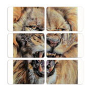 Магнитные фотопазлы 80 на 50 набор 6 штук 