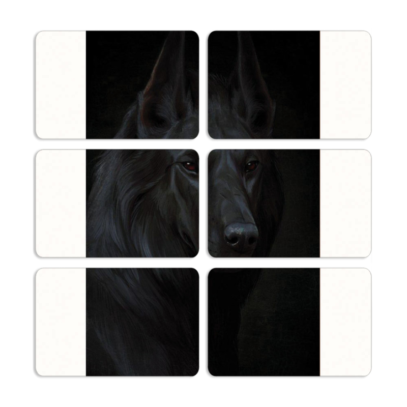 Магнитные фотопазлы 80 на 50 набор 6 штук 