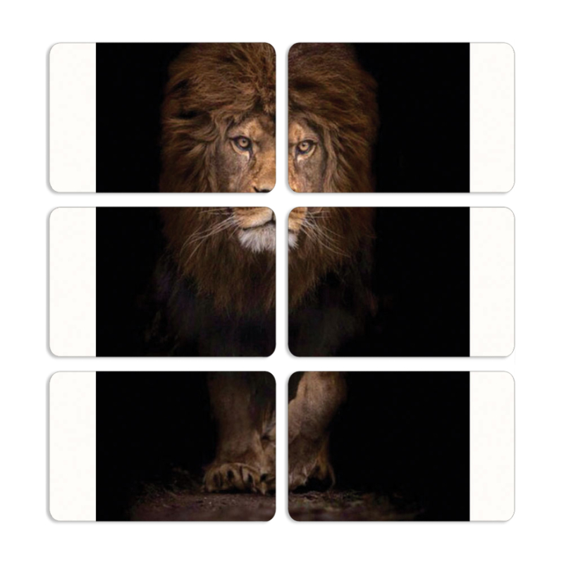 Магнитные фотопазлы 80 на 50 набор 6 штук 