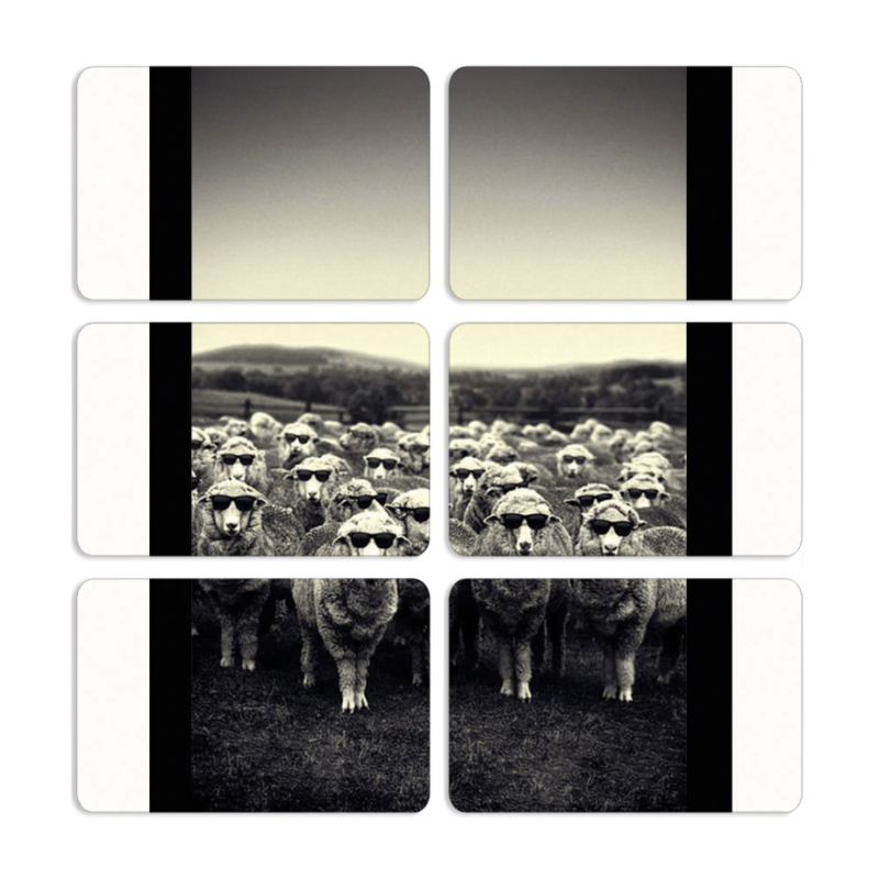 Магнитные фотопазлы 80 на 50 набор 6 штук 