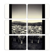 Магнитные фотопазлы 80 на 50 набор 6 штук 