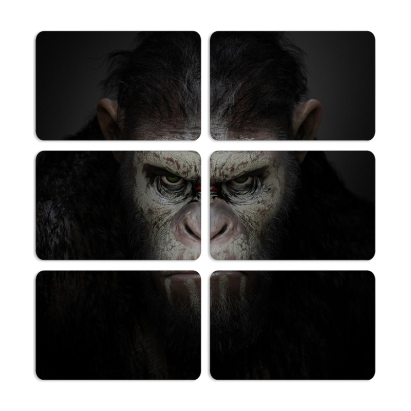 Магнитные фотопазлы 80 на 50 набор 6 штук 