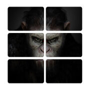 Магнитные фотопазлы 80 на 50 набор 6 штук 