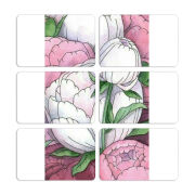 Магнитные фотопазлы 80 на 50 набор 6 штук 