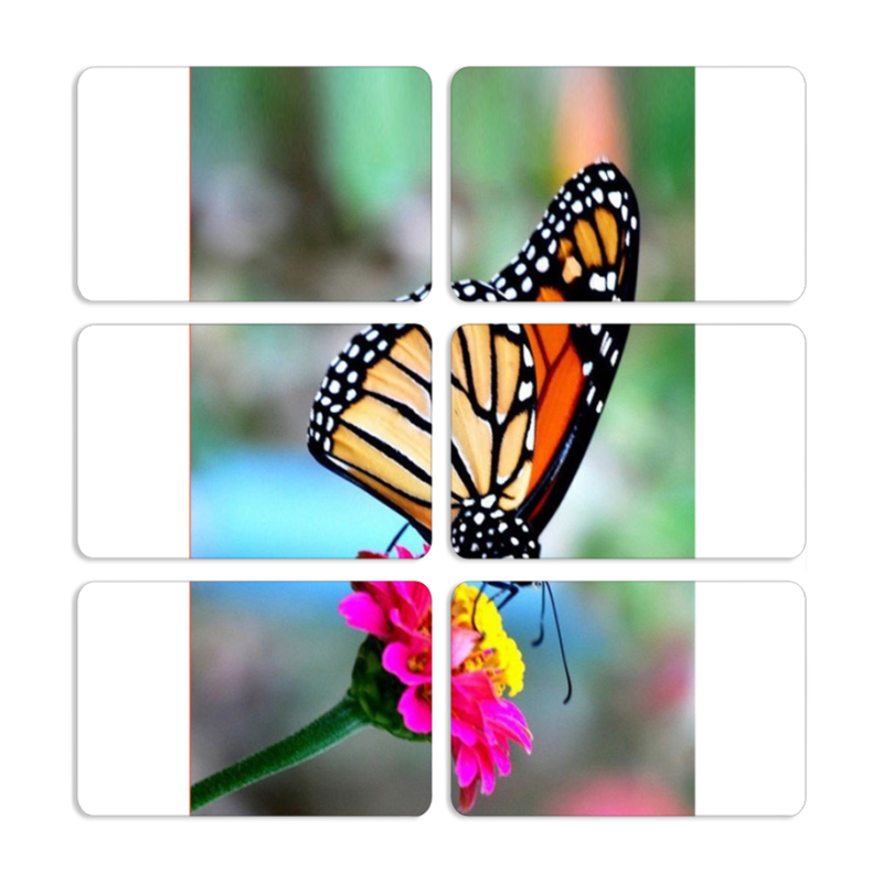 Магнитные фотопазлы 80 на 50 набор 6 штук 