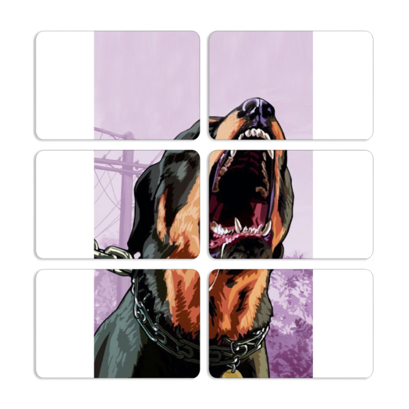 Магнитные фотопазлы 80 на 50 набор 6 штук 