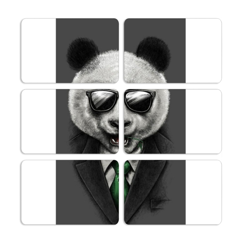 Магнитные фотопазлы 80 на 50 набор 6 штук 