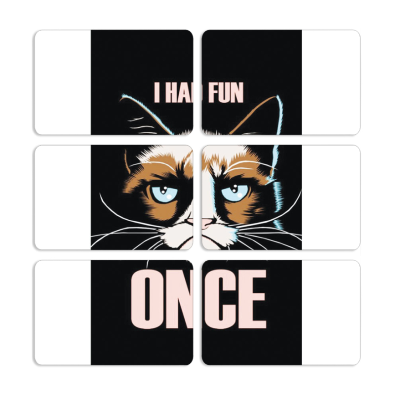 Магнитные фотопазлы 80 на 50 набор 6 штук 