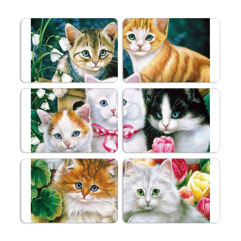 Магнитные фотопазлы 80 на 50 набор 6 штук 