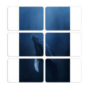 Магнитные фотопазлы 80 на 50 набор 6 штук 