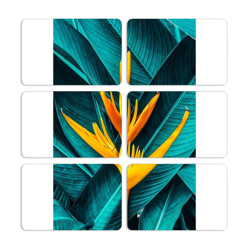 Магнитные фотопазлы 80 на 50 набор 6 штук 