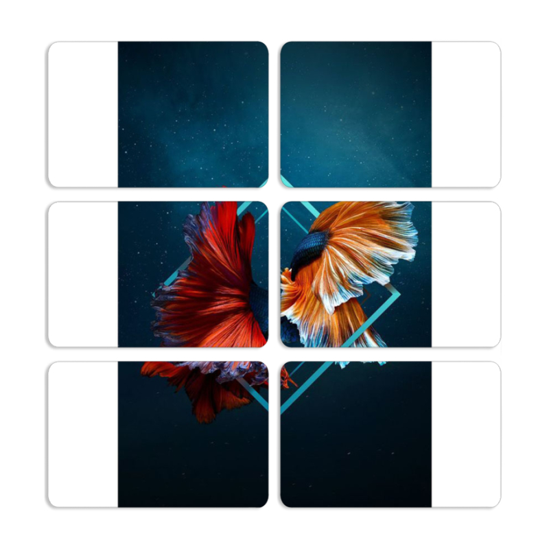 Магнитные фотопазлы 80 на 50 набор 6 штук 