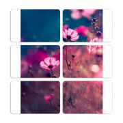 Магнитные фотопазлы 80 на 50 набор 6 штук 