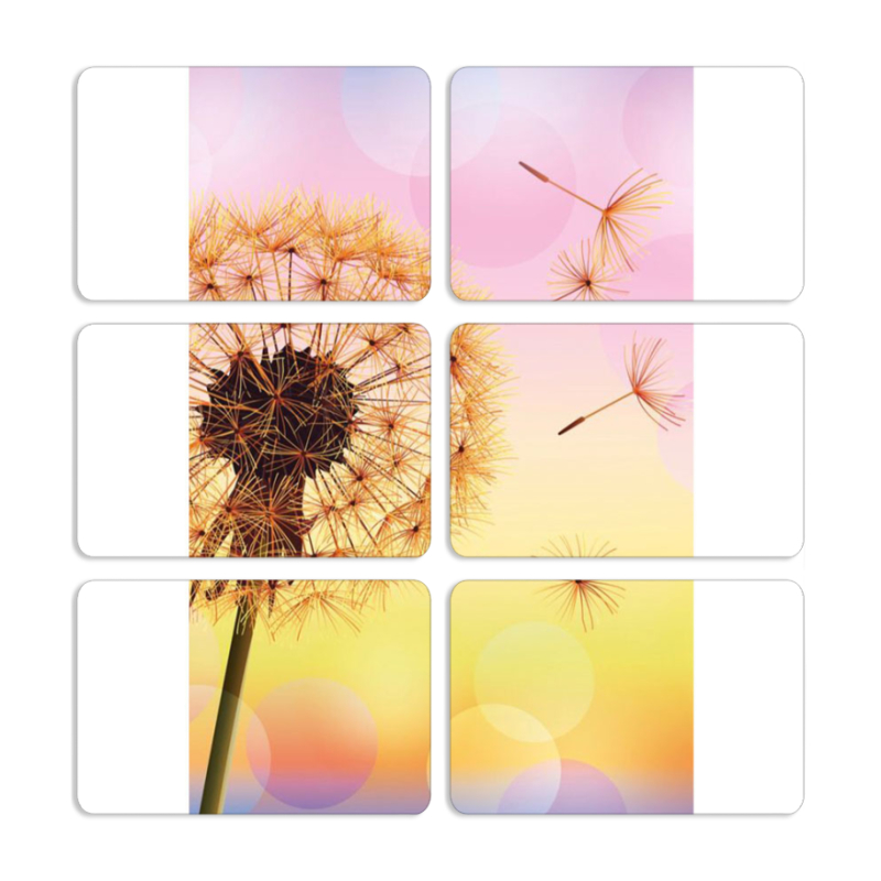 Магнитные фотопазлы 80 на 50 набор 6 штук 