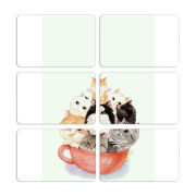 Магнитные фотопазлы 80 на 50 набор 6 штук 