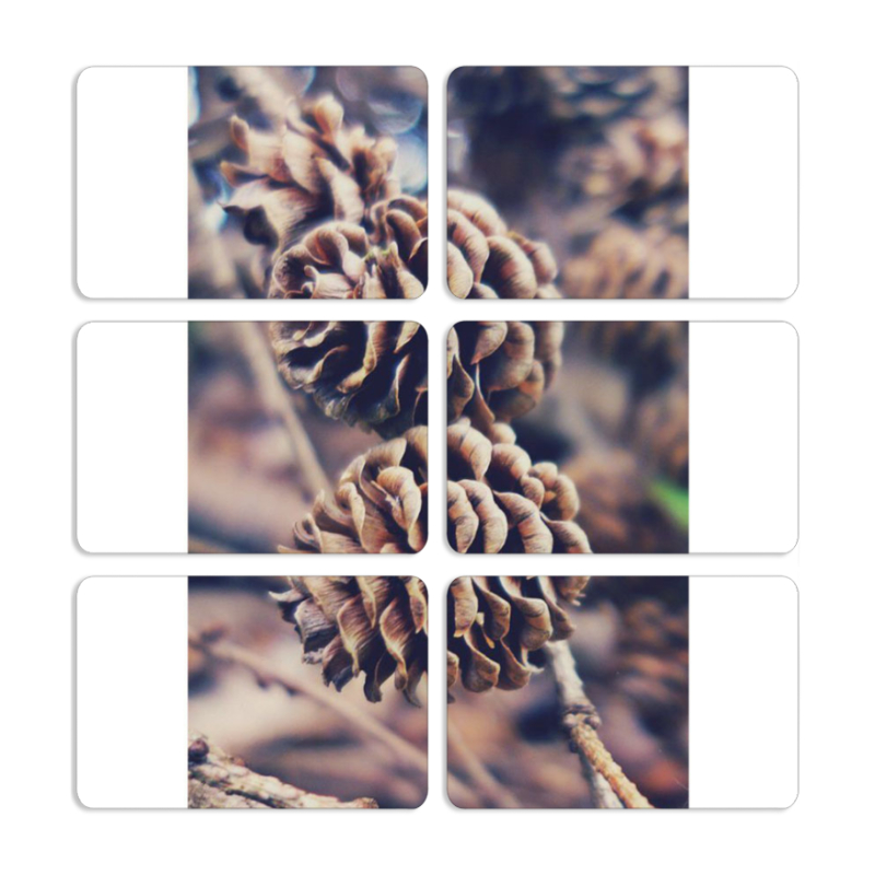 Магнитные фотопазлы 80 на 50 набор 6 штук 