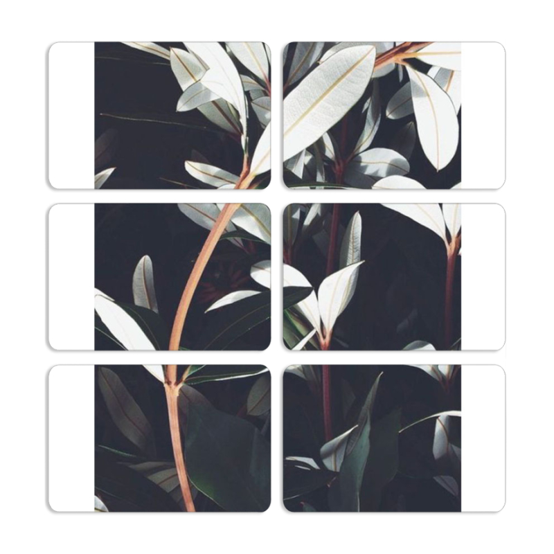 Магнитные фотопазлы 80 на 50 набор 6 штук 