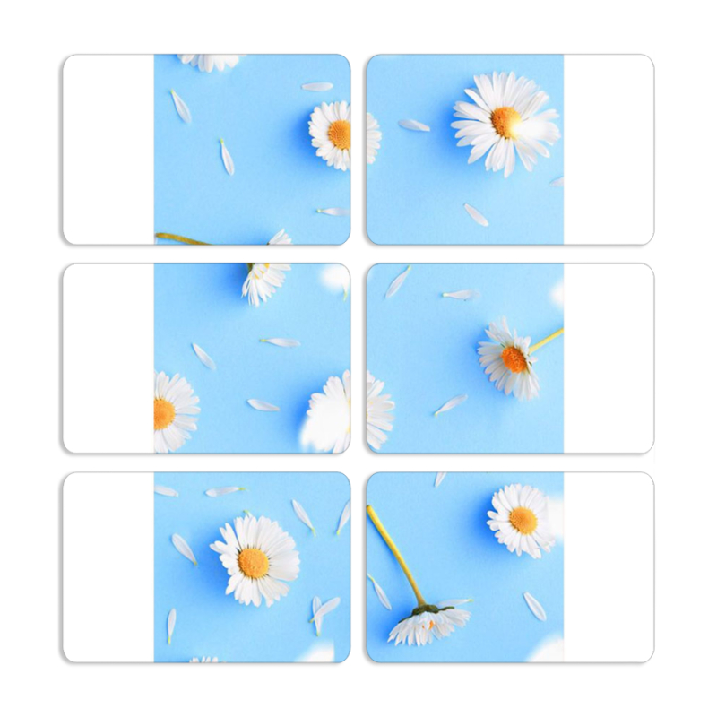 Магнитные фотопазлы 80 на 50 набор 6 штук 