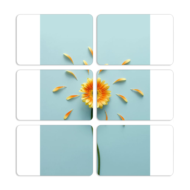 Магнитные фотопазлы 80 на 50 набор 6 штук 