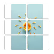 Магнитные фотопазлы 80 на 50 набор 6 штук 