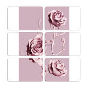 Магнитные фотопазлы 80 на 50 набор 6 штук 