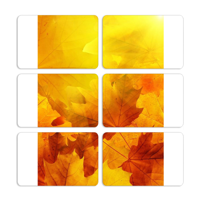 Магнитные фотопазлы 80 на 50 набор 6 штук 