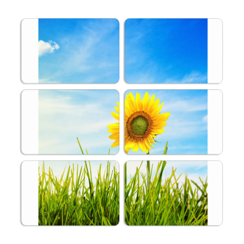 Магнитные фотопазлы 80 на 50 набор 6 штук Sunflower Heaven