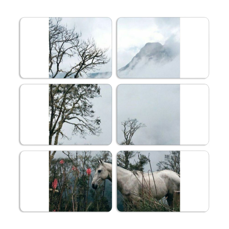 Магнитные фотопазлы 80 на 50 набор 6 штук 