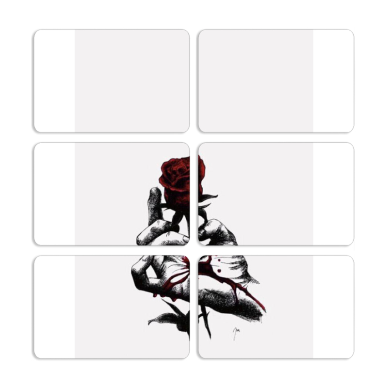 Магнитные фотопазлы 80 на 50 набор 6 штук 