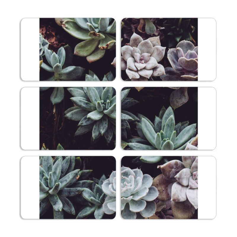 Магнитные фотопазлы 80 на 50 набор 6 штук 