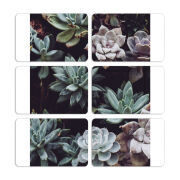 Магнитные фотопазлы 80 на 50 набор 6 штук 