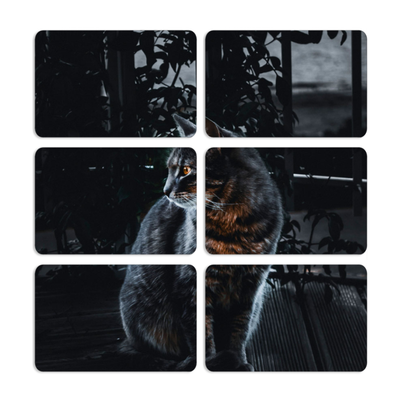 Магнитные фотопазлы 80 на 50 набор 6 штук 