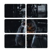 Магнитные фотопазлы 80 на 50 набор 6 штук 