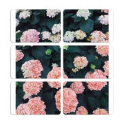 Магнитные фотопазлы 80 на 50 набор 6 штук 