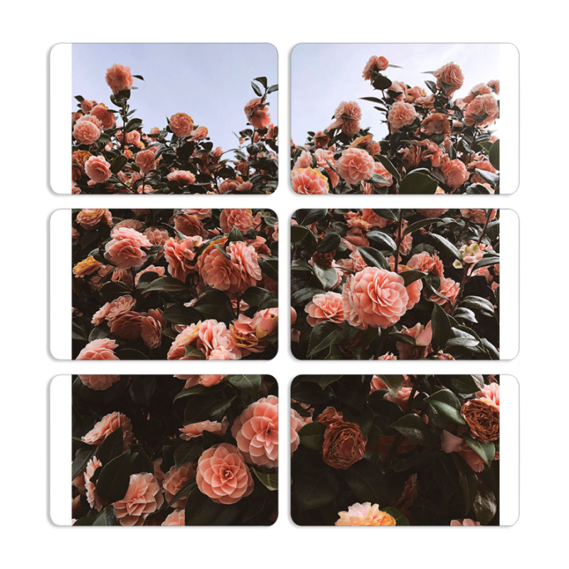 Магнитные фотопазлы 80 на 50 набор 6 штук 