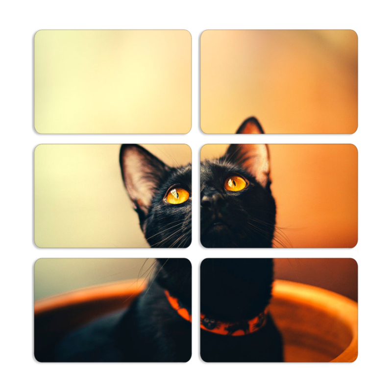 Магнитные фотопазлы 80 на 50 набор 6 штук 